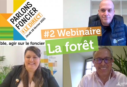 Replay Webinaire : La forêt : marché, tendances et perspectives