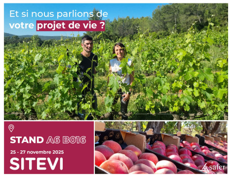 Les Safer à SITEVI 2025