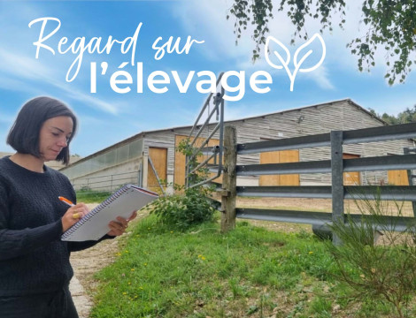 Élevage