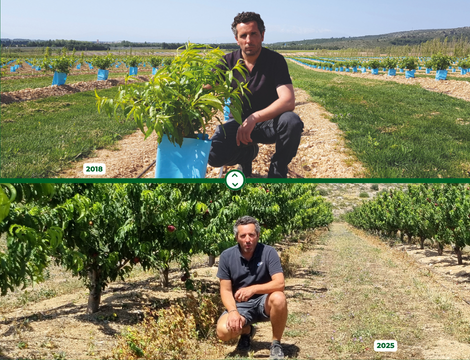 Relocaliser pour pérenniser : l’histoire de David MASSOT, arboriculteur dans les Pyrénées-Orientales