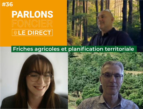 Webinaire Parlons foncier - le Direct - Affiche intervenants Jaques ANDRE Gilles LEFRANCOIS Valentine JAGUENEAU Friches agricoles et planification territoriale