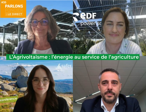 Webinaire Parlons foncier - le Direct - Affiche intervenants Tomas ROUMAGNAC Marie SEPCHAT EDF Power solutionsL’Agrivoltaïsme : l’énergie au service de l’agriculture
