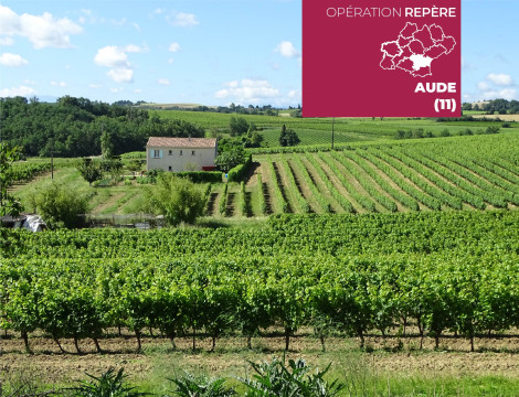 Domaine de Nougayrol (11) - Viticulture et agrotourisme