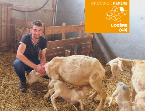 Clément (48) - Élevage