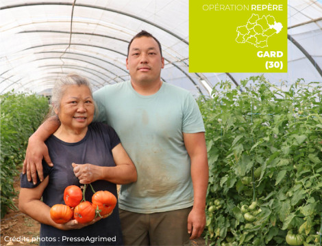 Mas La Touraine (30) - Maraîchage