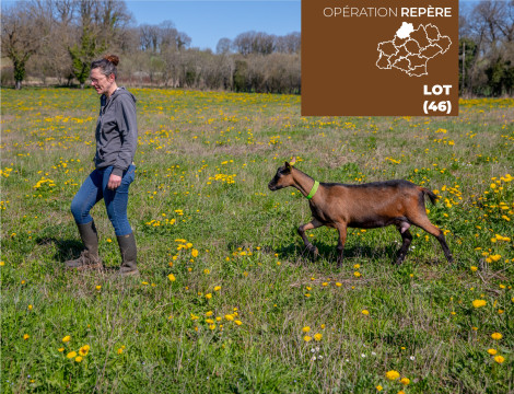 Mélanie (46) - Élevage ovin lait