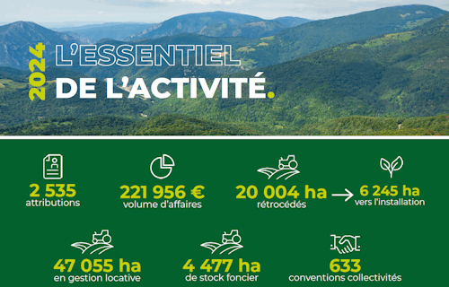 L'essentiel de notre activité 2024