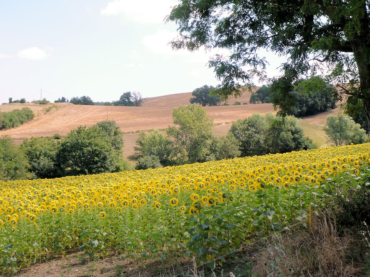 Environnement socio-économique