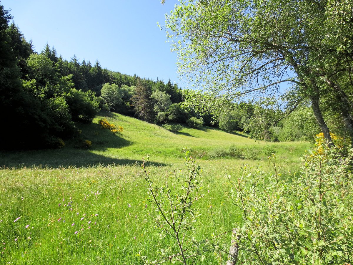 La location provisoire de foncier