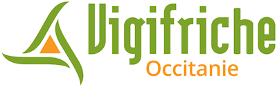 Vigifriche
