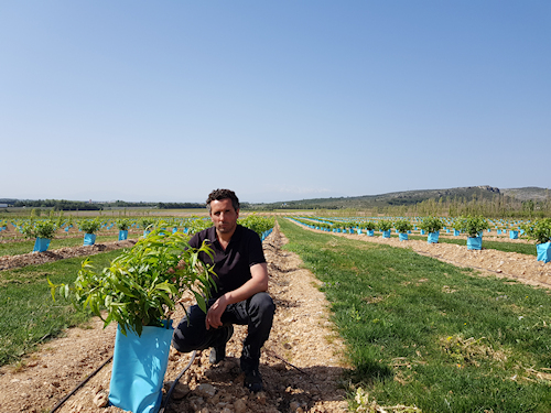 David MASSOT, Arboriculteur David MASSOT, Arboriculteur